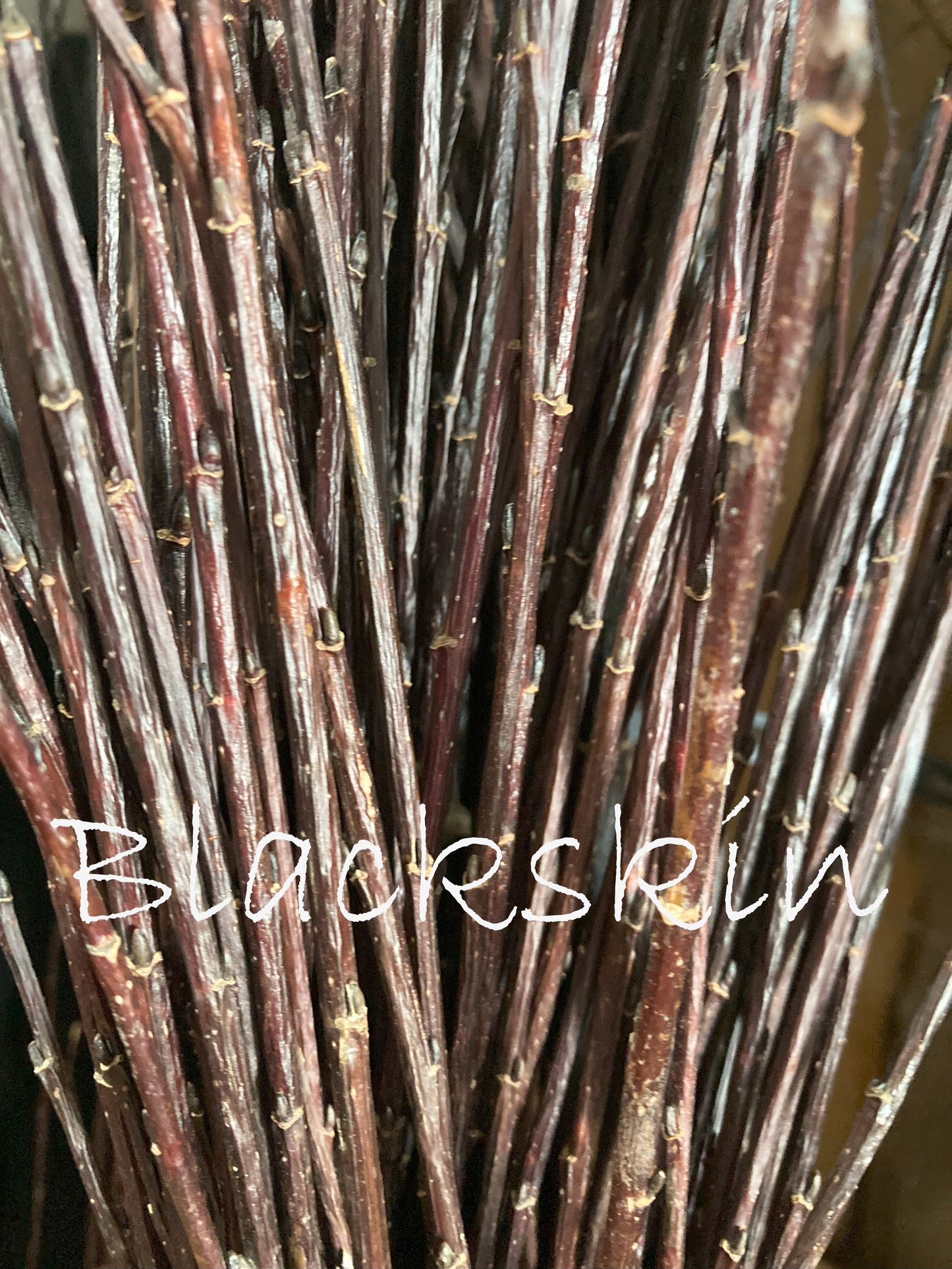 Close-up of dark brown twigs with 'Blackskin' branding.