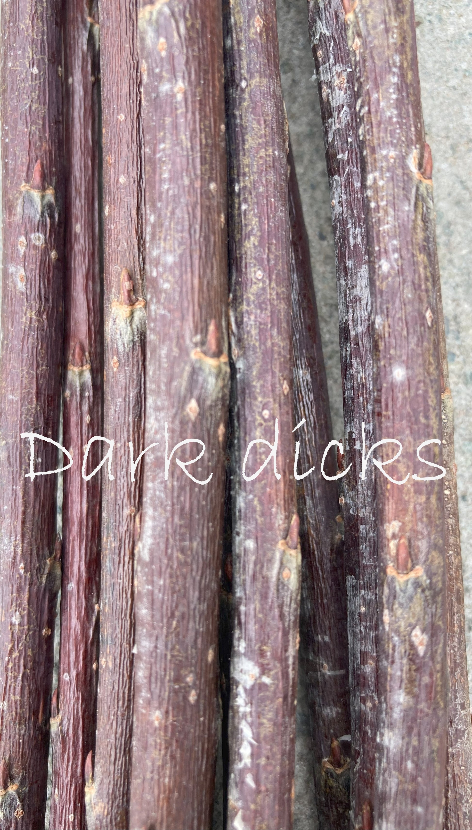 Close-up of purple sticks with a textured background and text 'Dark dicks'.