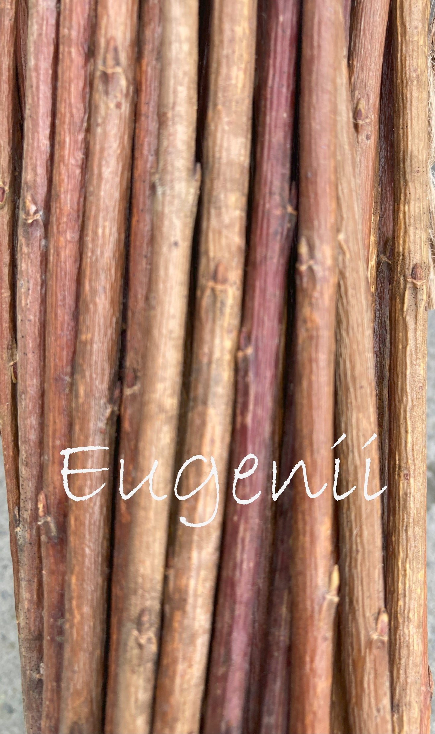 Close-up of wooden sticks with 'Eugenii' branding.