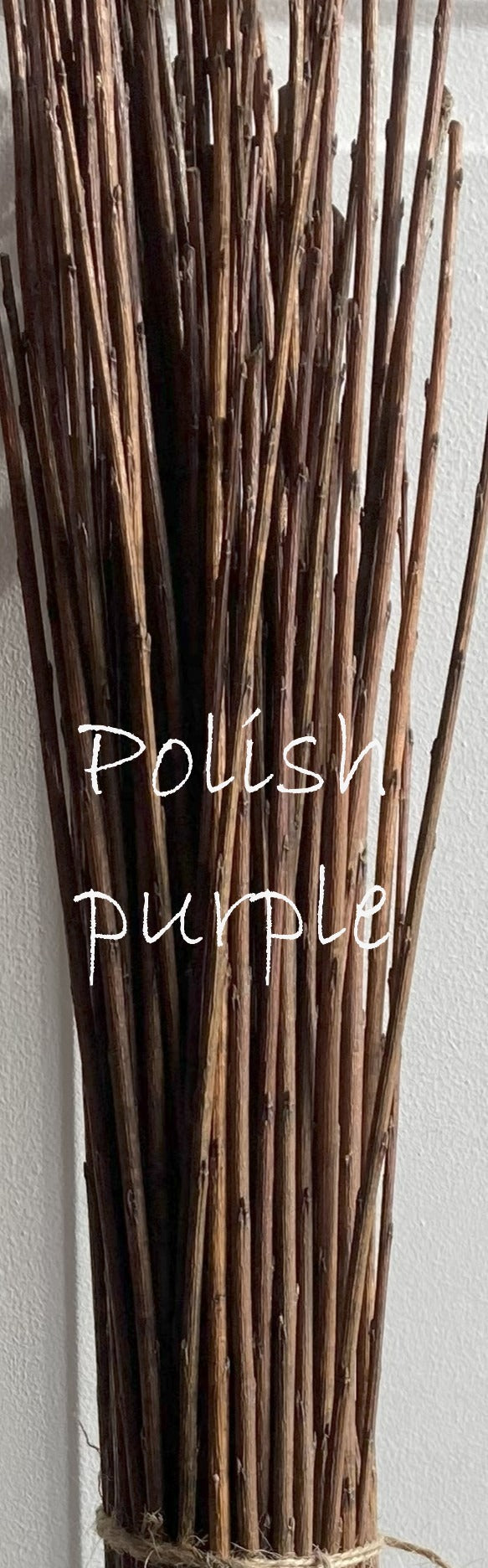 Bunch of sticks with 'Polish purple' text on a light gray background