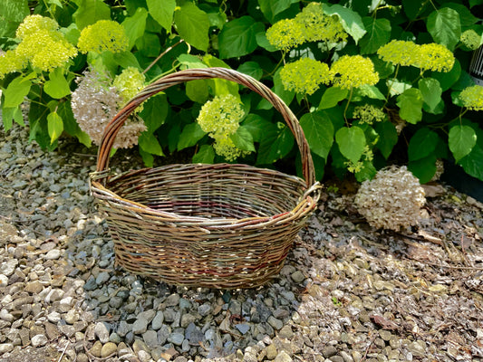 Register for willow basketry class - January 24-25, 2026