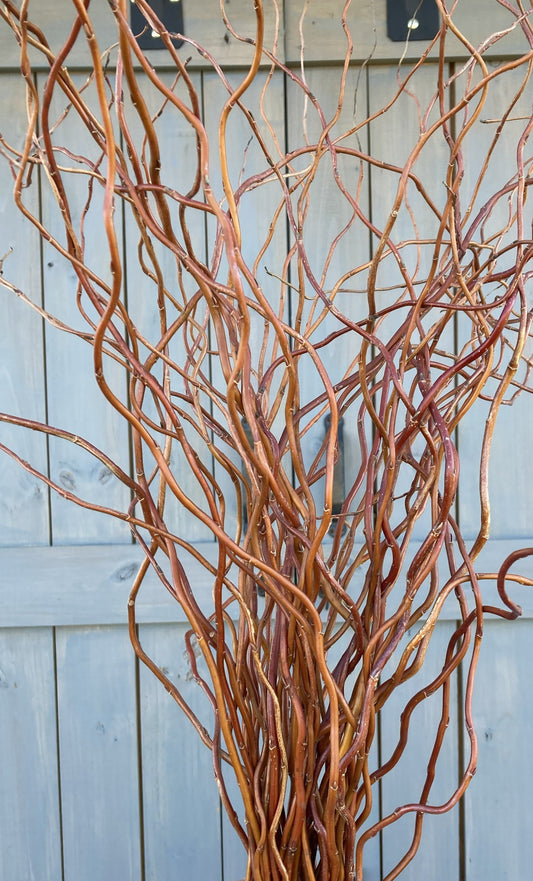 Rust-colored decorative branches against a light blue wooden panel background